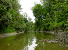 Hulovski kanal by Tibor Mikuska